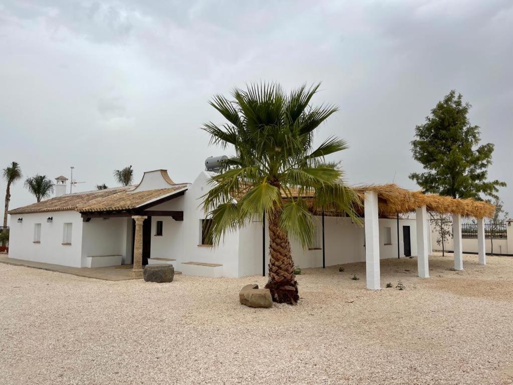Casa Rural La Alcaparra เอทิคา ภายนอก รูปภาพ